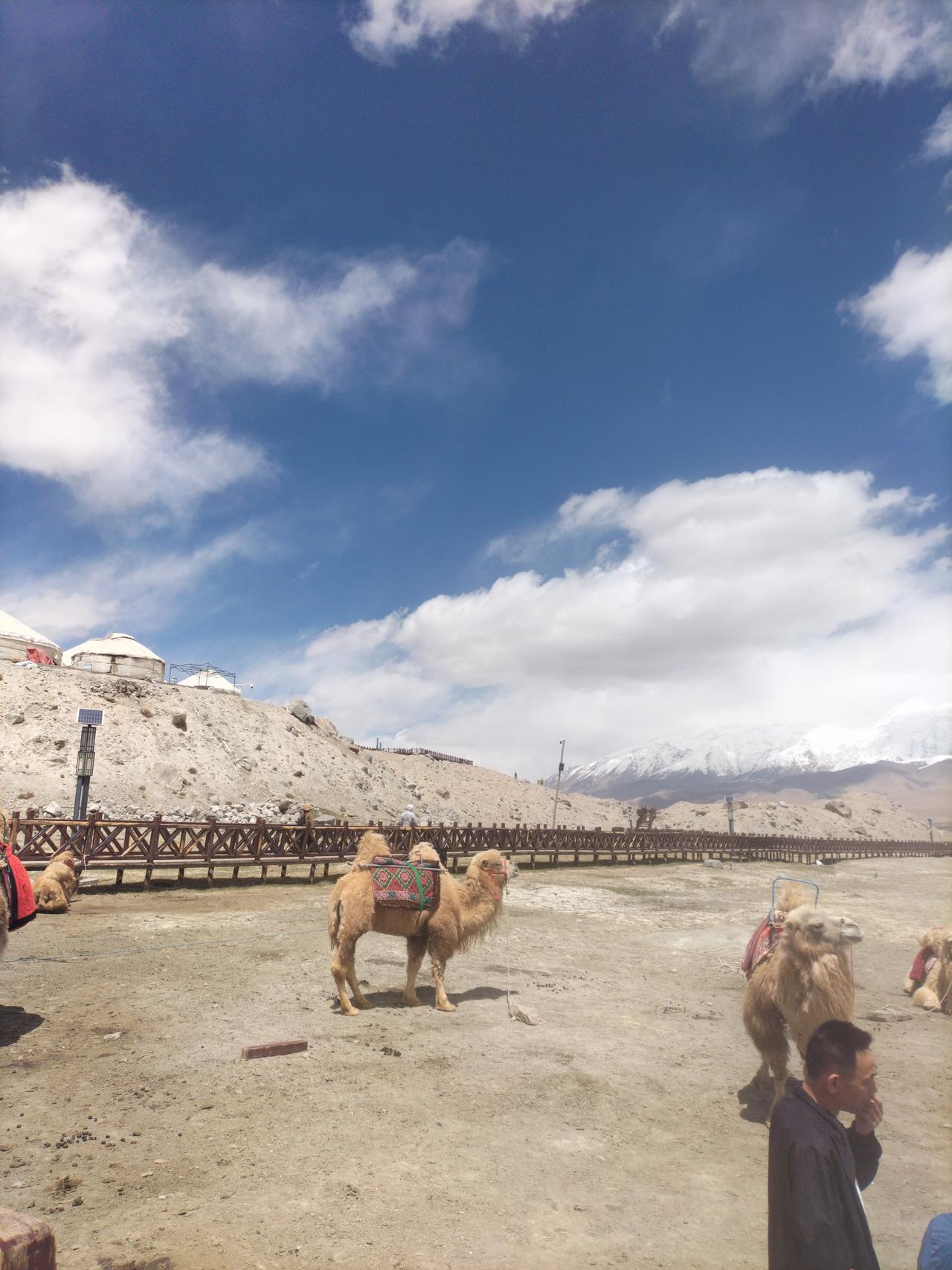 分享南疆美景南疆之旅留下的美景，这些美景让我永久的藏在相册里，回想起游过了戈壁滩