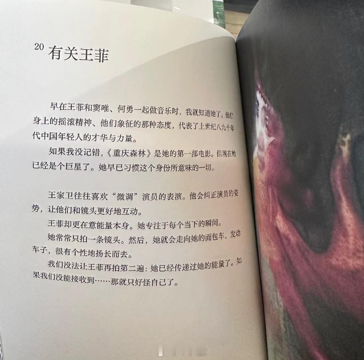 也就王菲反得了王家卫：“王家卫往往喜欢“微调〞演员的表演。他会纠正演员的姿势，