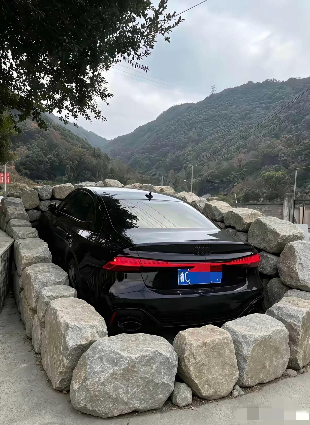 抵御台风，不知道该说聪明还是蠢