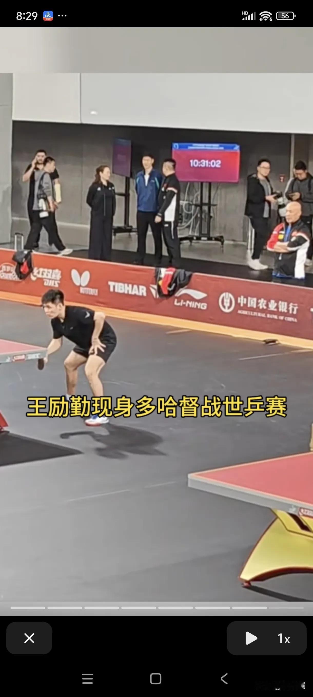 王励勤太难了！王励勤现身多哈，有人猜测，王励勤作为中国乒协主席，应该没有什么实