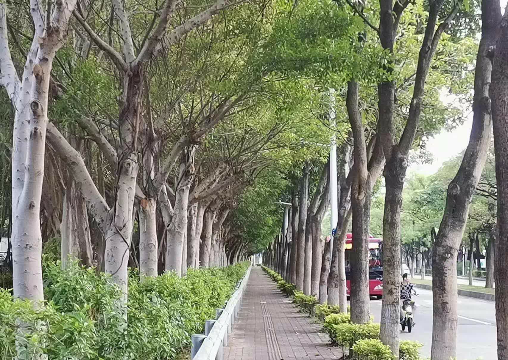 伙计们，你们晓得不？其实走路这件看似普通的事情，只要走个十分钟，身体就会开始出现