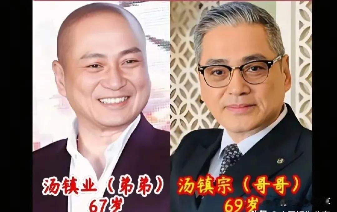 汤镇宗和汤镇业兄弟俩的惊人相似度，通过一系列表情和动作的对比，展示了他们五官的惊