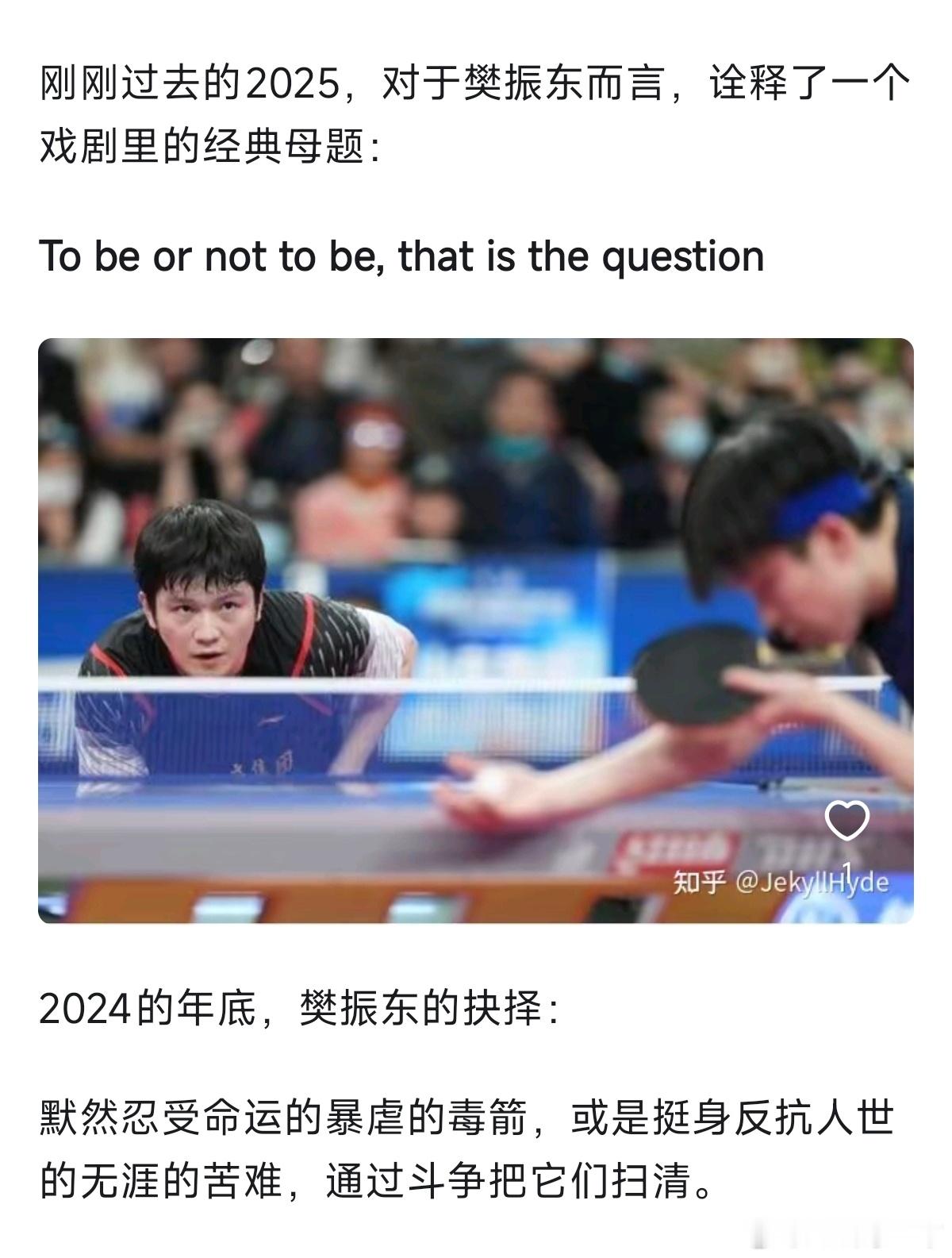 樊振东的2025年是承前启后的一年。这一年樊振东存在的意义，是双赢也是多赢乃至全