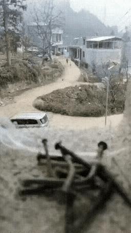 子奔父逐，鸡飞狗跳，农村特有的名场面。