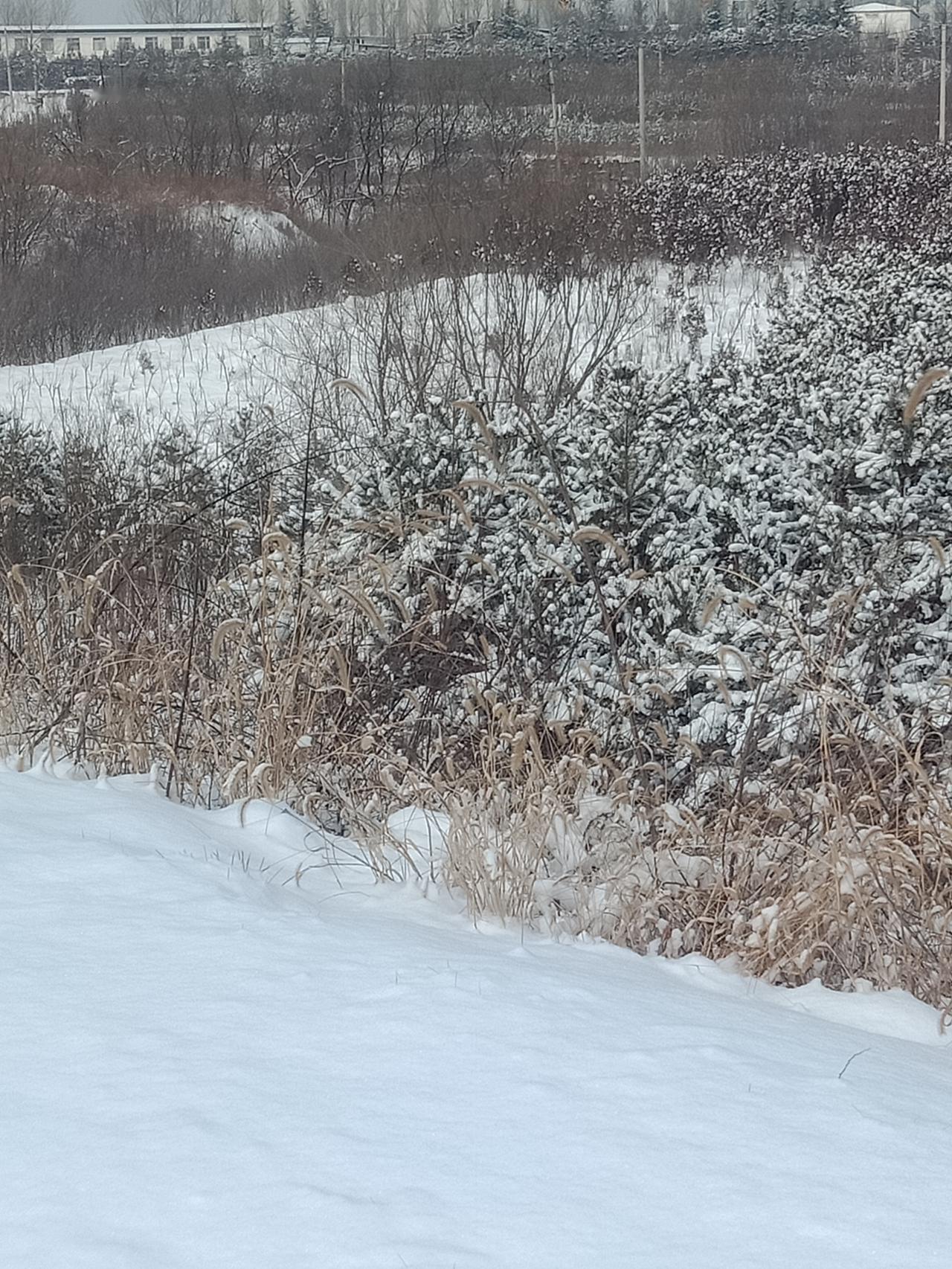 今年马上就过年了，没存到一分钱，昨天又吵了一架，我一个月工资2850元，他一个月