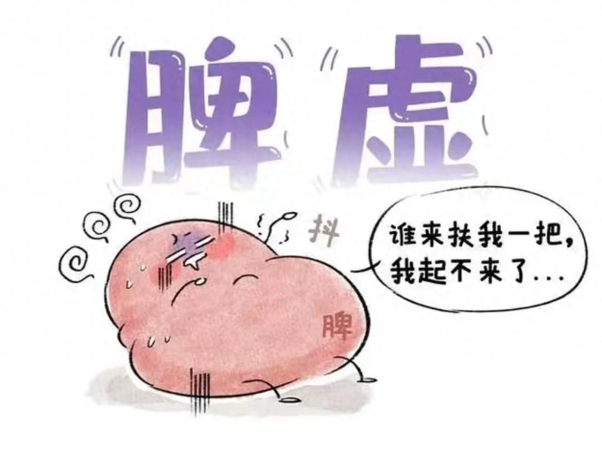 脾虚分四级，对照补！一级四君、二级参苓、三级理中、四级归脾内容仅供参考，如有不