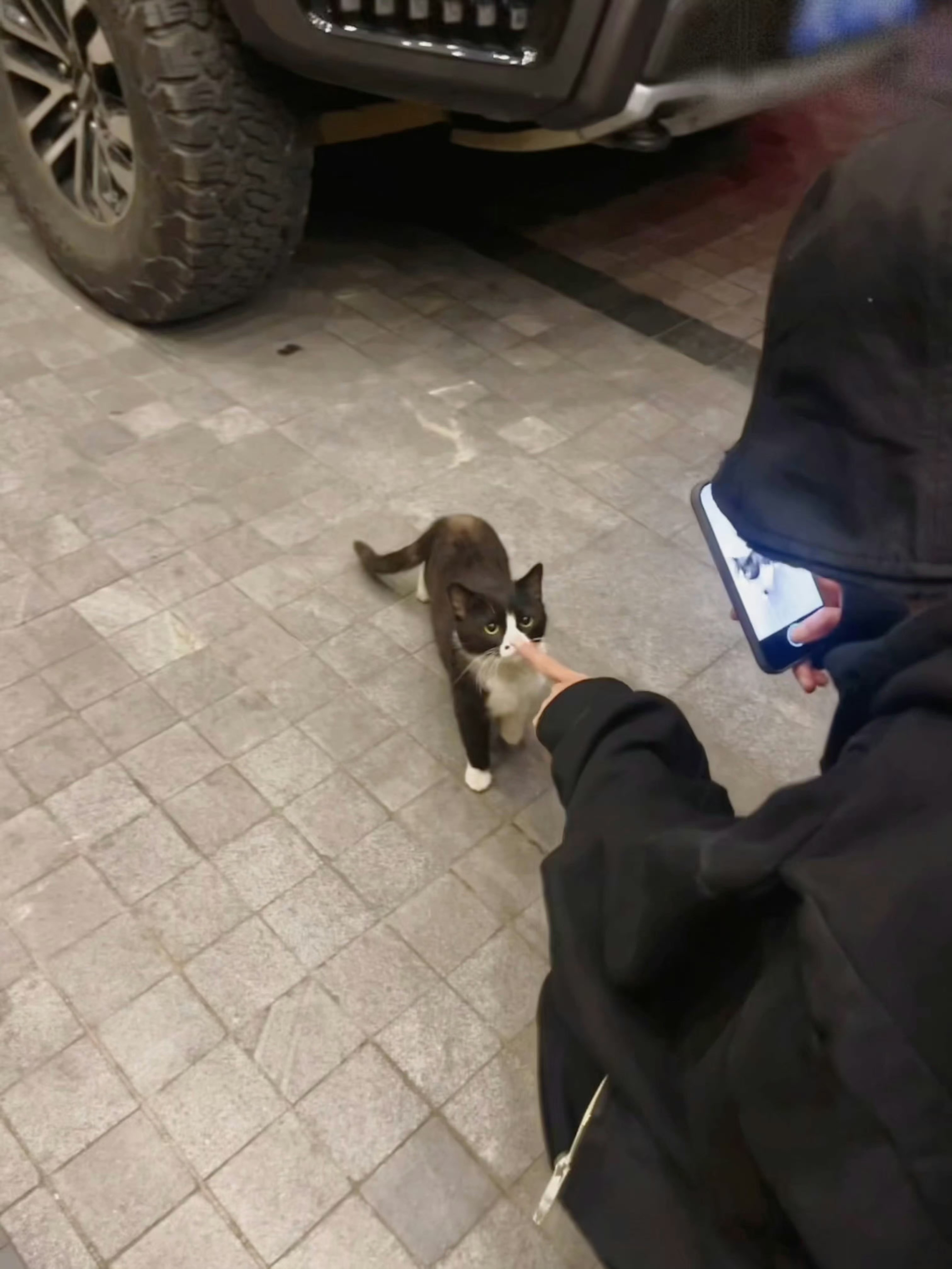陈星旭逗猫咪呢，软乎乎！