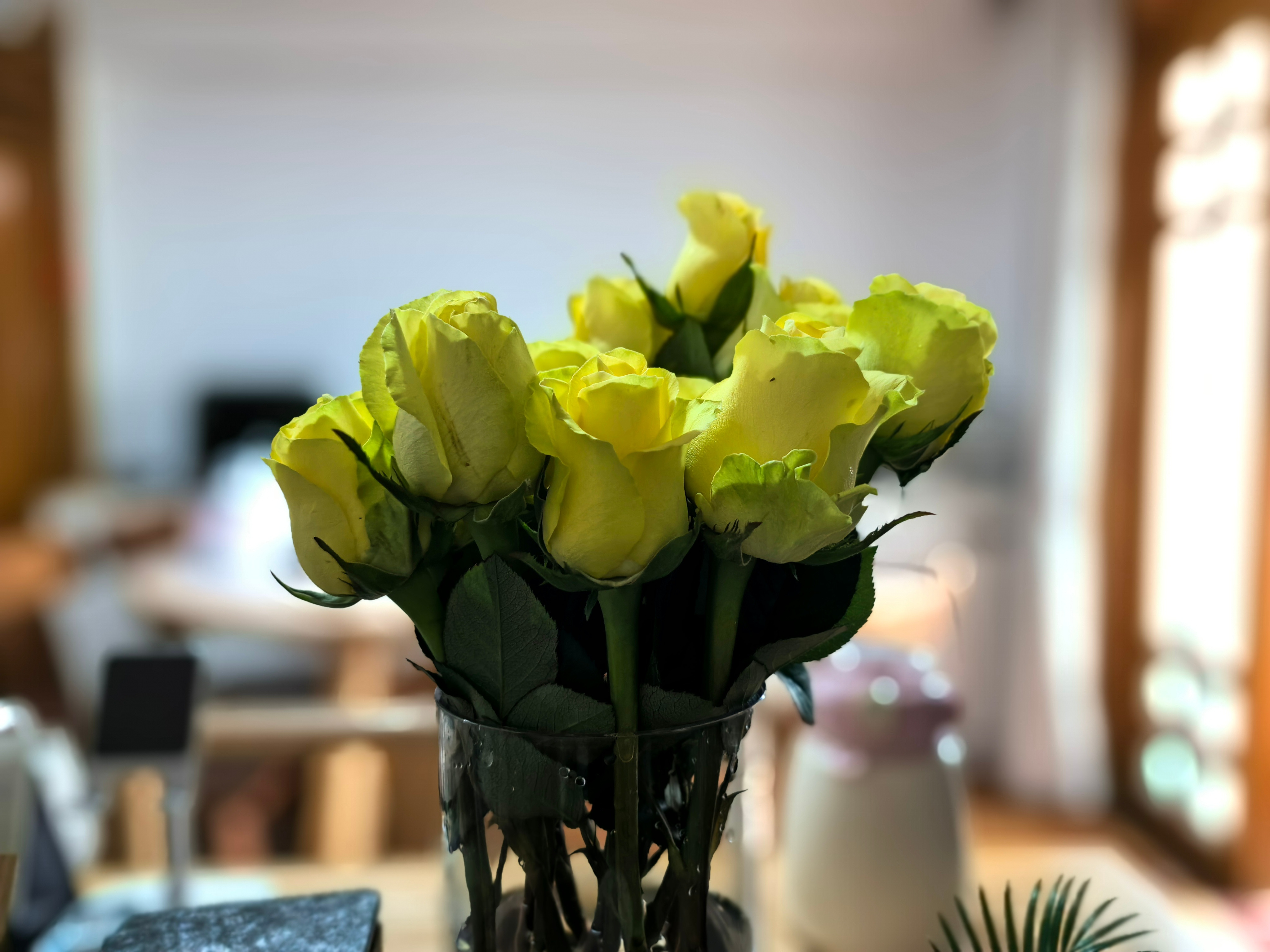 安静人生海海，每个人都有自己的舟要渡……(一)年龄一到，越来越喜欢独处，觉得可