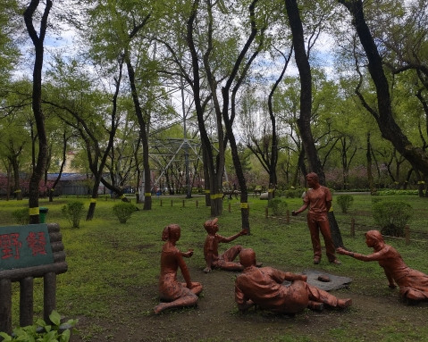 老姨打电话通知我周日去她家吃饭，带着老妈，媳妇，还有妹妹一家。一是一起过母亲