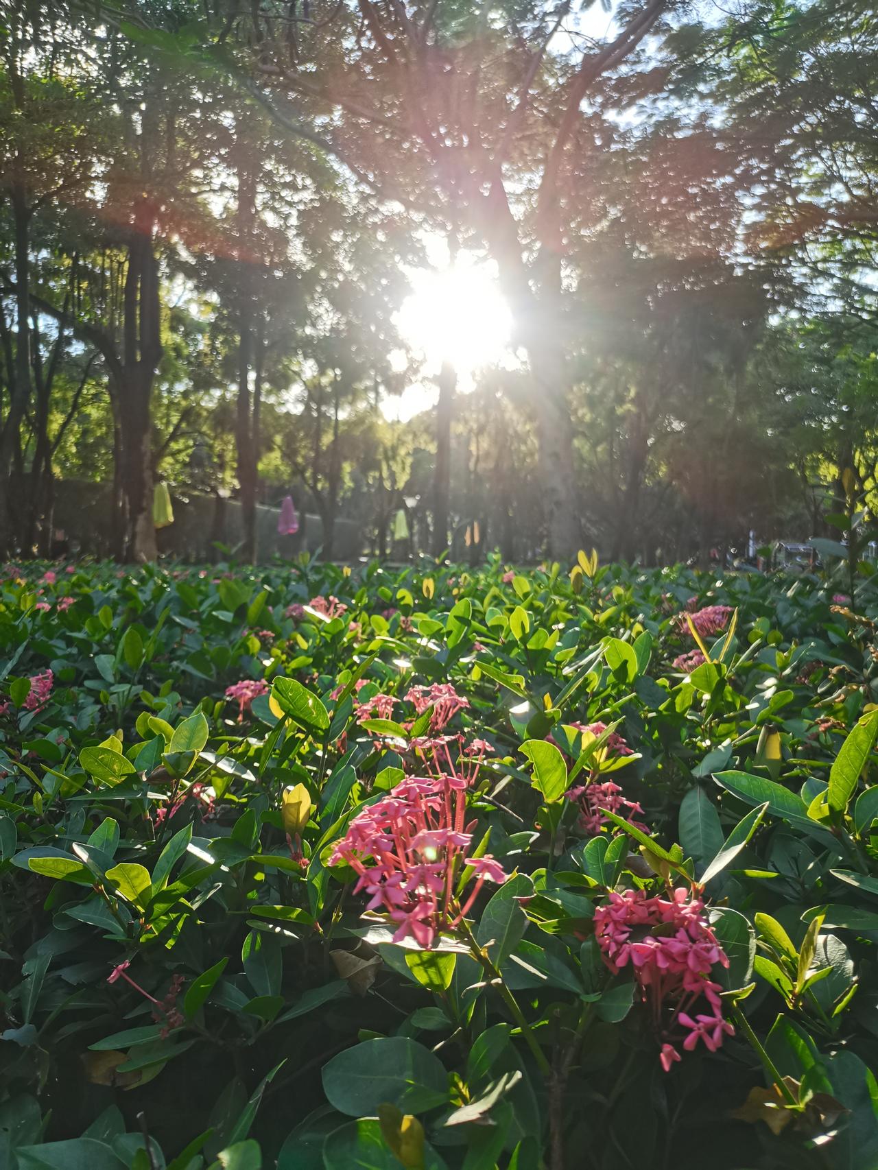 凌晨两点，朋友发来一条消息：“今天在公司崩溃了，躲在卫生间哭，却不敢出声，怕同事