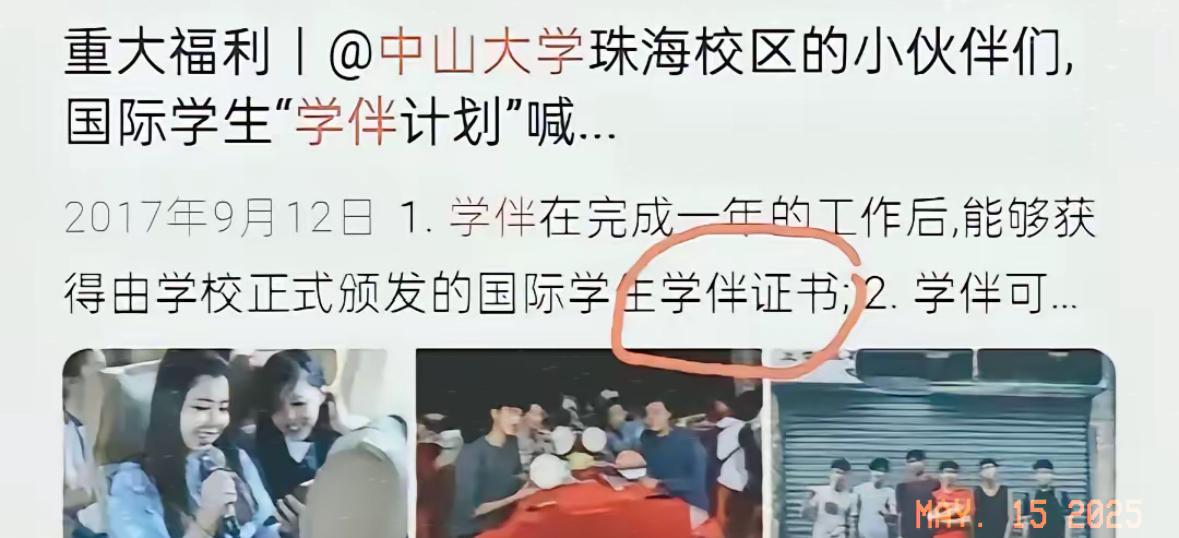 中山大学的“学伴证书”直接炸锅了网友：正规三陪？持证上岗？把国际交流玩成职