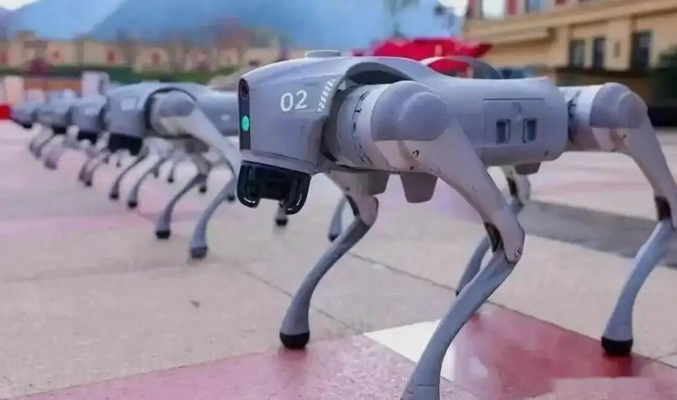 印度大学剽窃中国宇树机器狗事件持续发酵：印度媒体却真的炸锅了，女教授甩锅说我不懂