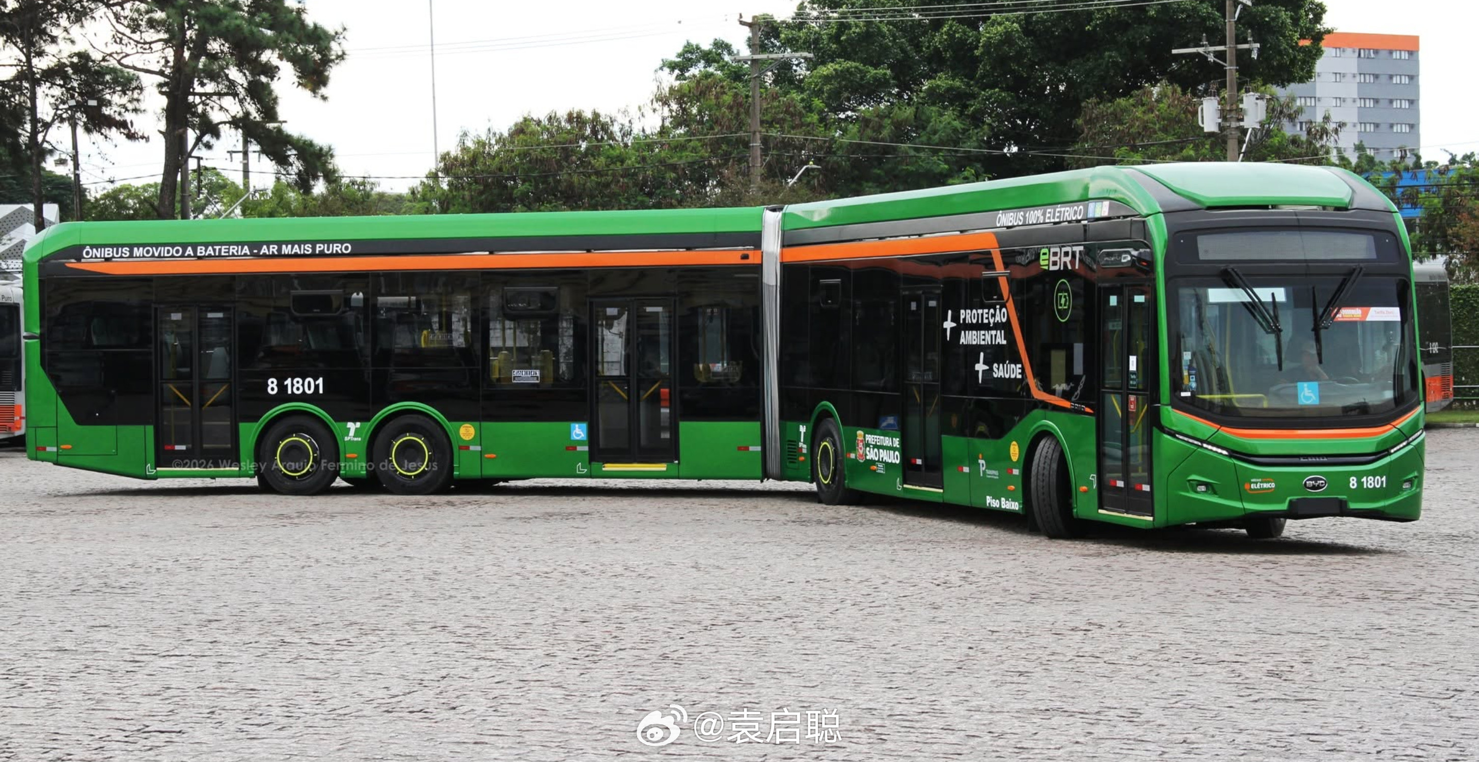 比亚迪王中王了属于