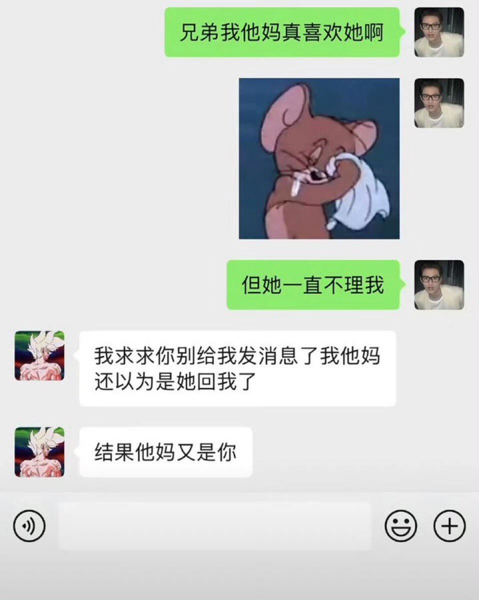 别给我发了meme