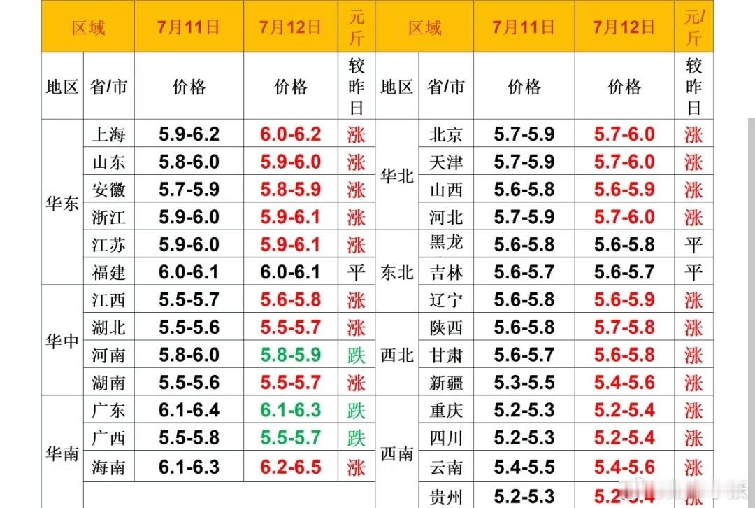 每日猪价