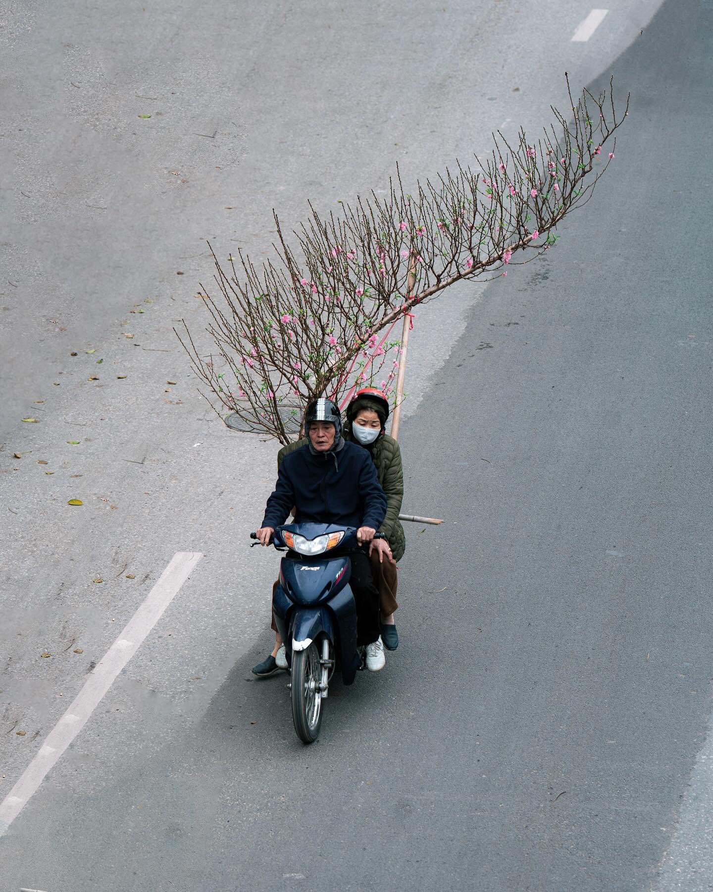 分享图片​​​