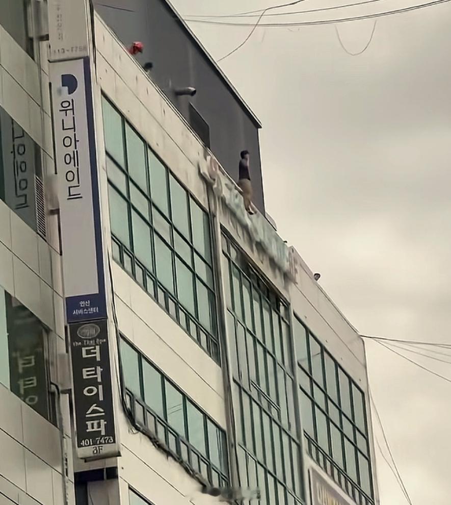 资本市场里重要的是什么？就是逐利的韭菜。但韩国的问题就在这里，一点没有吃到199