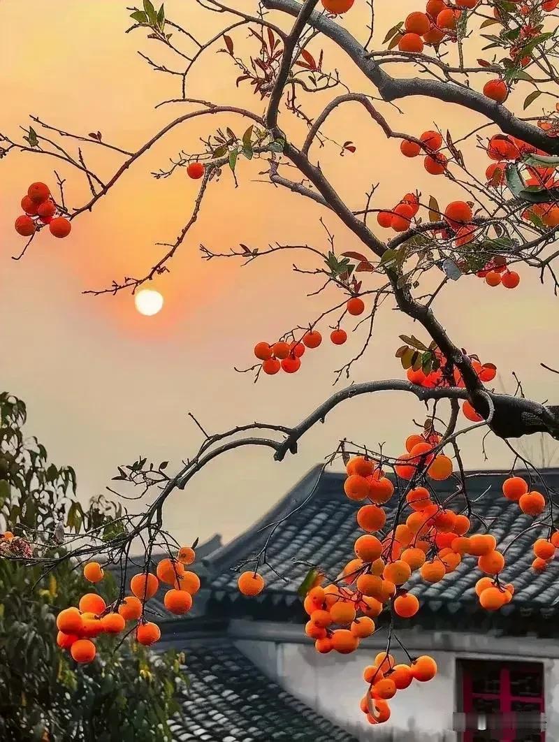 过来人告诉你：只要你上班，父母帮忙带孩子，住在一起，不管你的父母多好，你多孝顺，