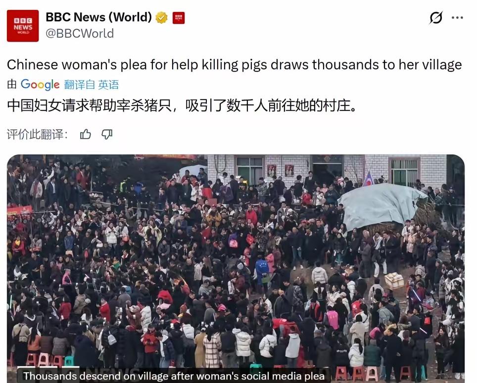 BBC对呆呆发酸文了。他们没想到的是呆呆只是一条发文，竟然可以吸引数千人自发前