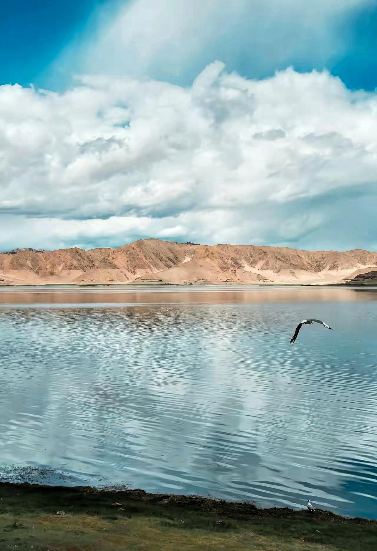 心理学家说:“男人倒霉的第一步，就是频繁给一个女人发消息。男人倒霉的第二步，就