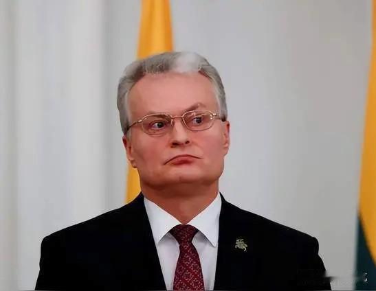 立陶宛感觉自己吃亏了，立陶宛新上任的总理认为，当年的决定太鲁莽，自己冲在了最前