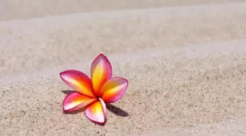 退休后，很多人突然闲下来，手头宽裕却空虚得慌，总想找点事干、见见老熟人，结果往往