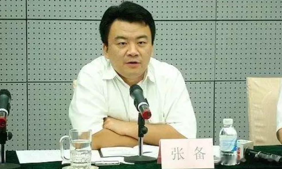 2016年，深圳前区长张备的辞职决定令众人瞩目，他选择在事业高峰期辞去公职转战商