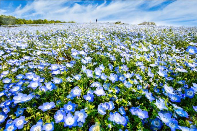 存款多少才可以躺平普通人存到多少钱，才能安心躺平？10万——根本没啥安全