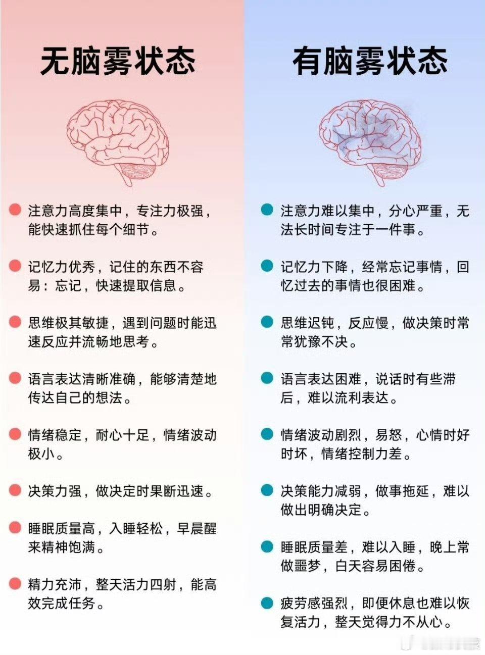 脑雾看完之后，严重怀疑自己有脑雾