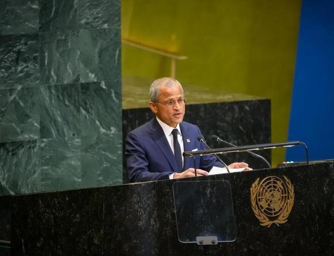 中方行使否决权，新加坡称感到失望，新国大使：应该取消一票否决 2026年4月