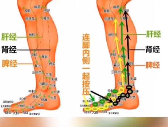 引火归元，多刮刮小腿内侧，每天几分钟，火气没有了，睡眠也好了！小腿内侧是肝、