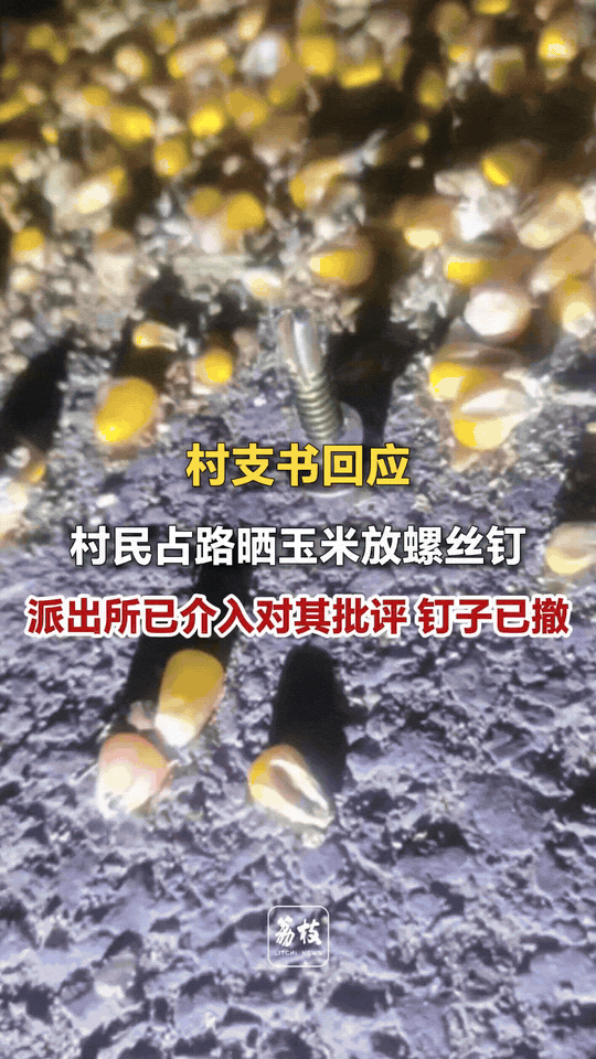 坏到骨子里！河北邢台，一名村民为了方便晒玉米，直接把整条村道铺满粮食，更过分的是