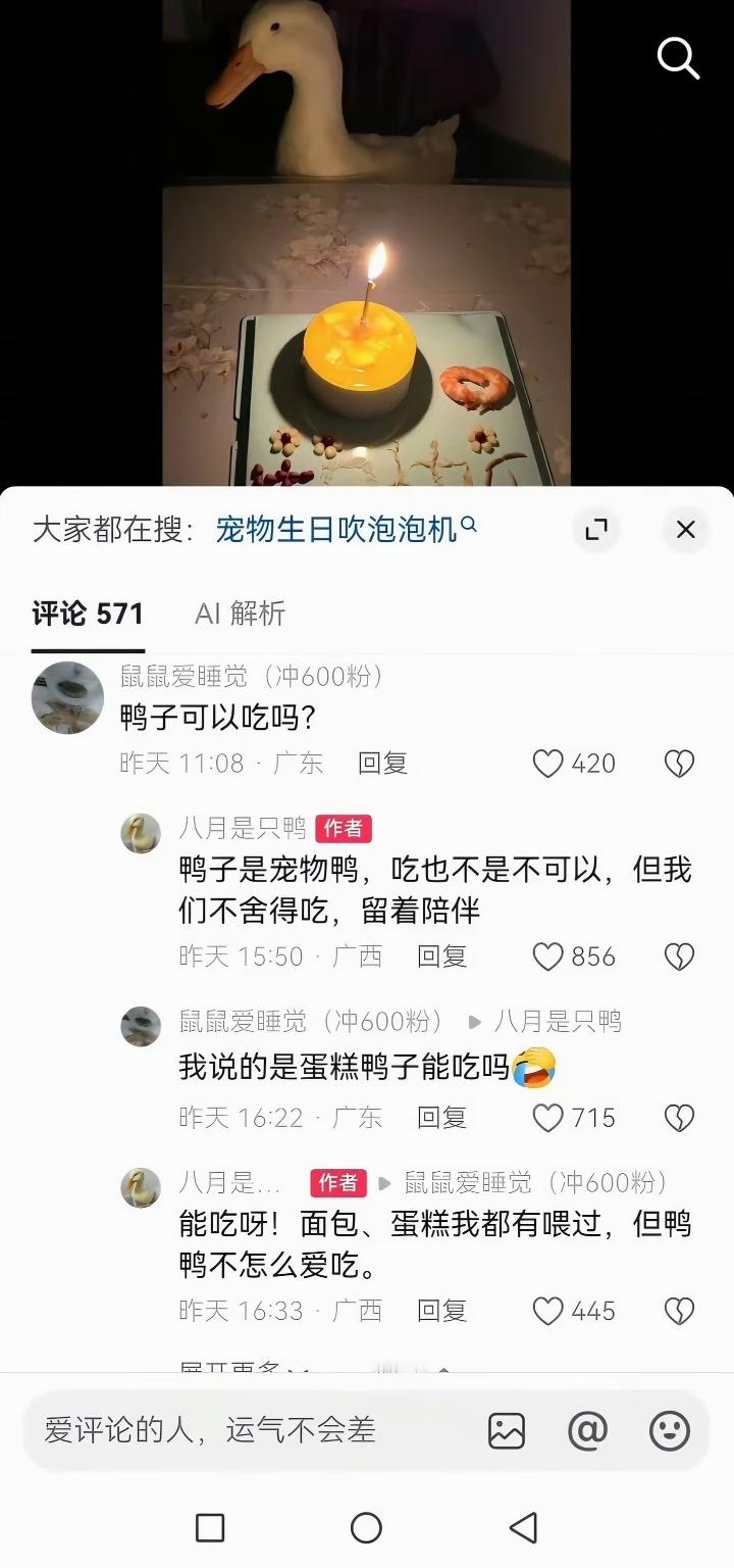 文字果然能传递情绪发现评论对鸭子没恶意，博主语气都欢快起来了