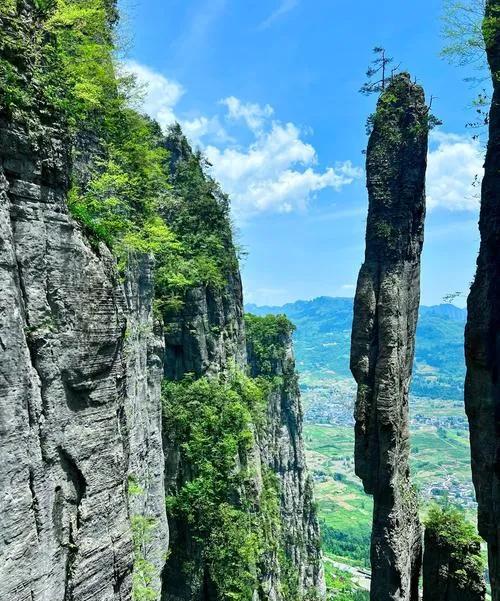 表姑和表姑父住在小城，都七十多了，每月五千多退休工资让他们的退休生活有滋有味。老