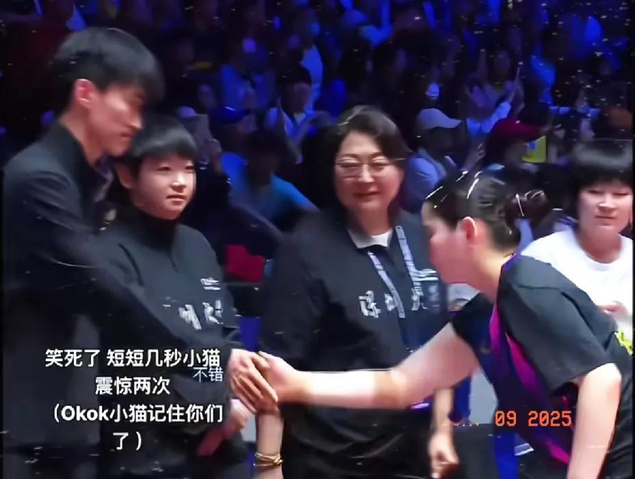 哈哈，深大赢了龙腾，莎莎和闺蜜的友谊小船也翻了乒超联赛深大3：0战胜上海龙腾