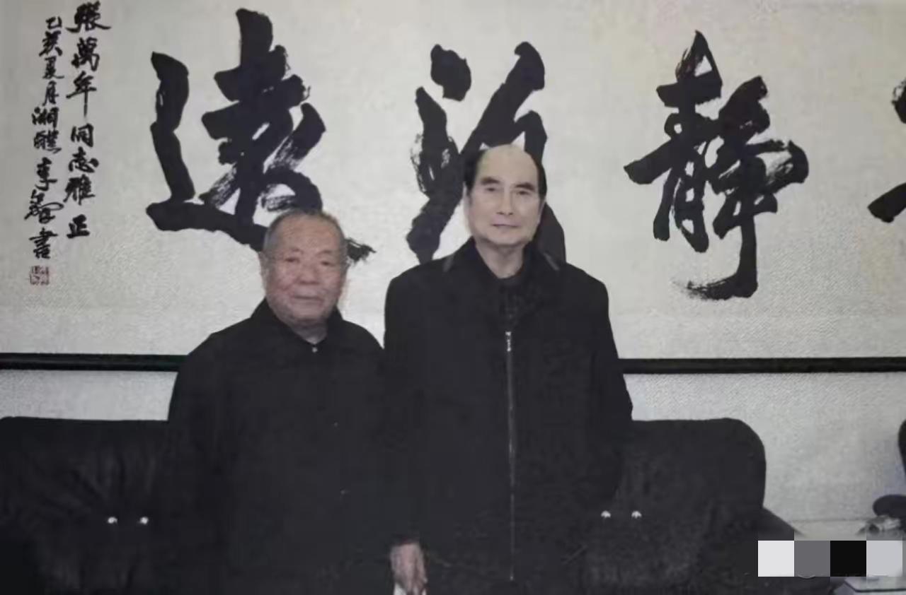 1991年3月，那天下大雪，济南军区司令员张万年却突然要去菏泽单县，寻找他当年的