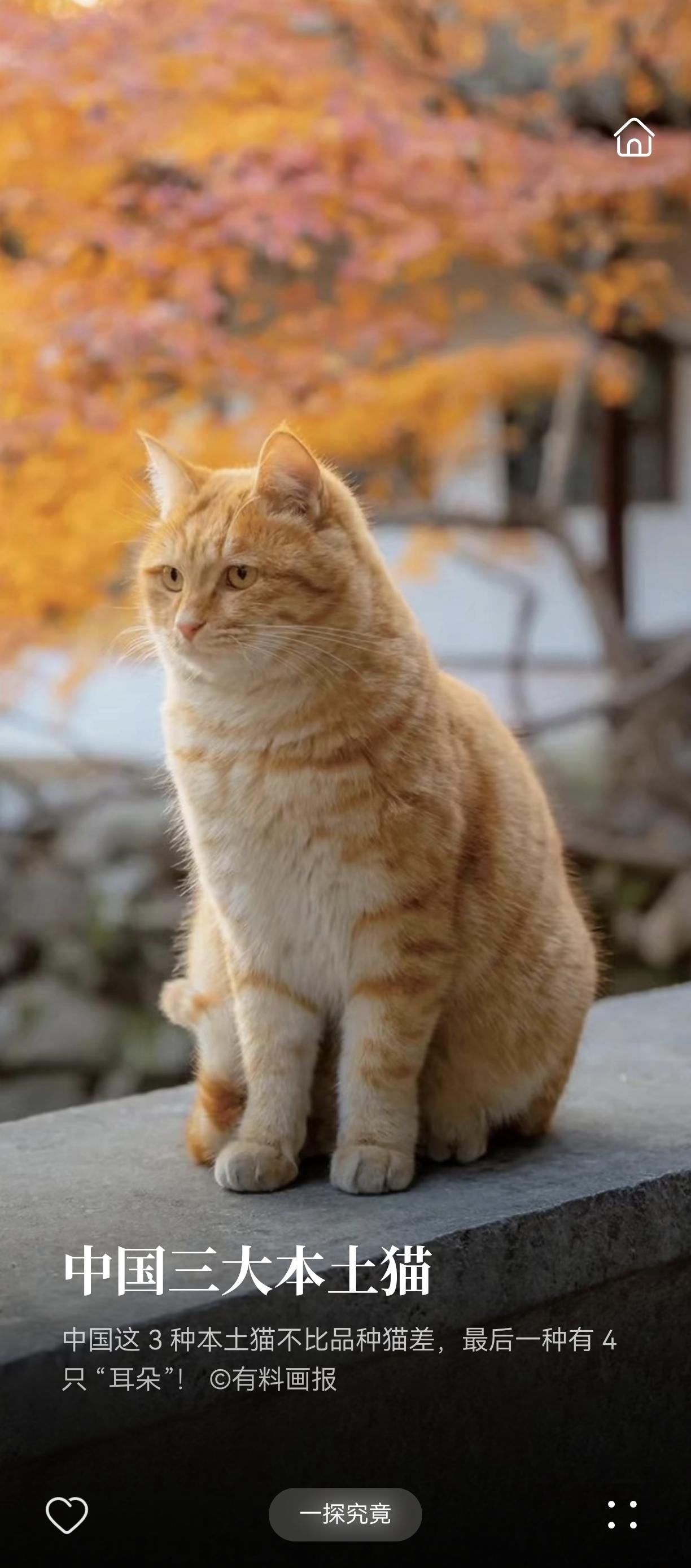 姨夫是个表姨夫，因为一直关系处的不错，所以联系较多。几年前，姨去世了，这么多