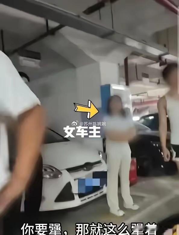 长沙那个女车主死活不肯道歉，不是她蠢，是她心里清楚——这年头占别人车位连罚单