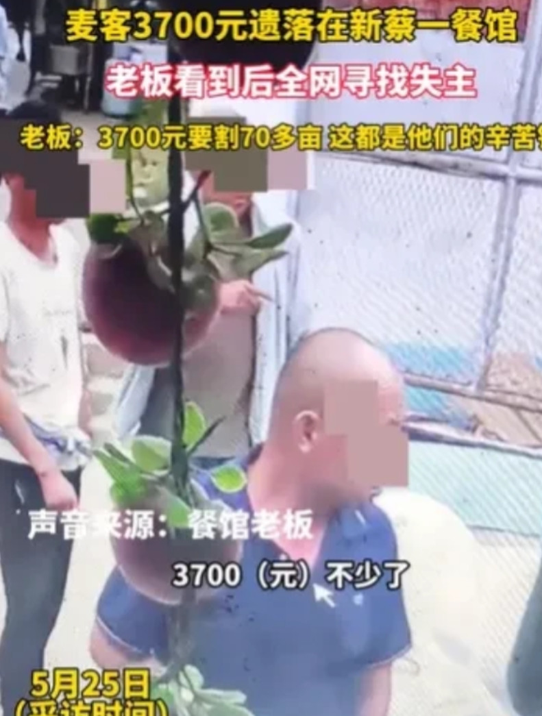 河南新蔡，4名麦客辛苦收割70多亩麦子，挣了3700元。吃饭时，他们把钱落在了餐