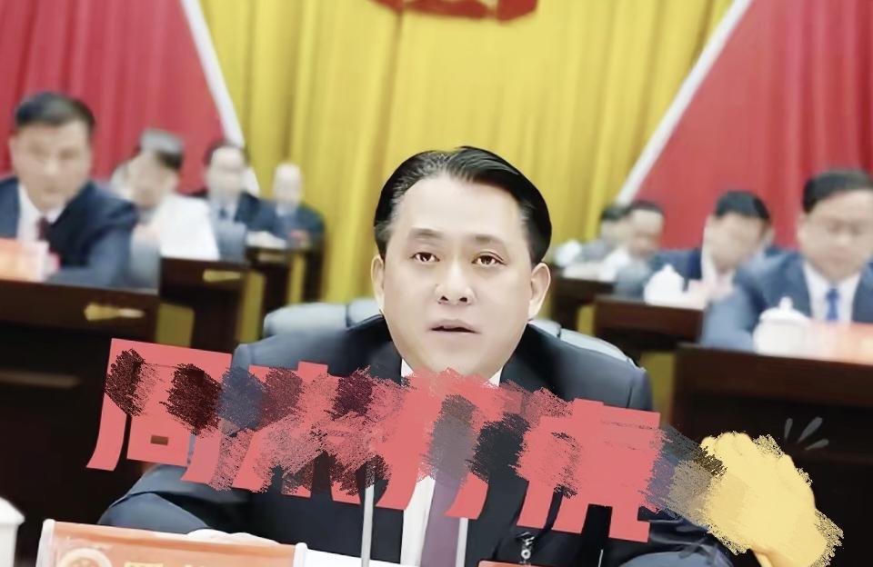 **32岁当上副秘书长，主政一方时大谈廉政，如今却因受贿被“双开”！这位“明星