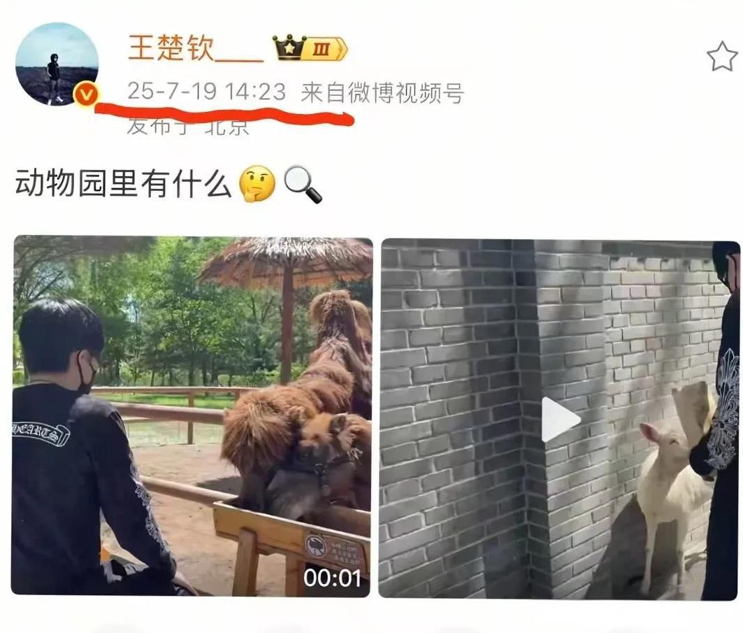 今天楚钦发去动物园的视频，藏了三个月的视频终干发出来了。咱就是说动物园有啥的