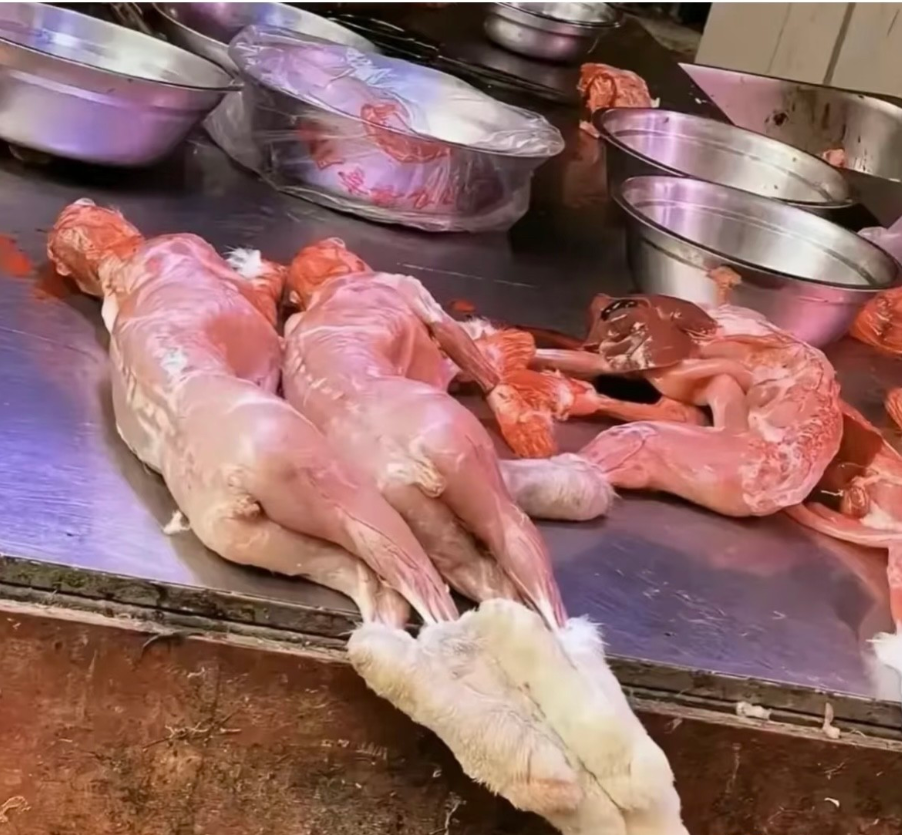救命！今天在菜市场发现“老公同款躺姿”的肉！这姿势绝了，瘫在案板上玩手机既视感，