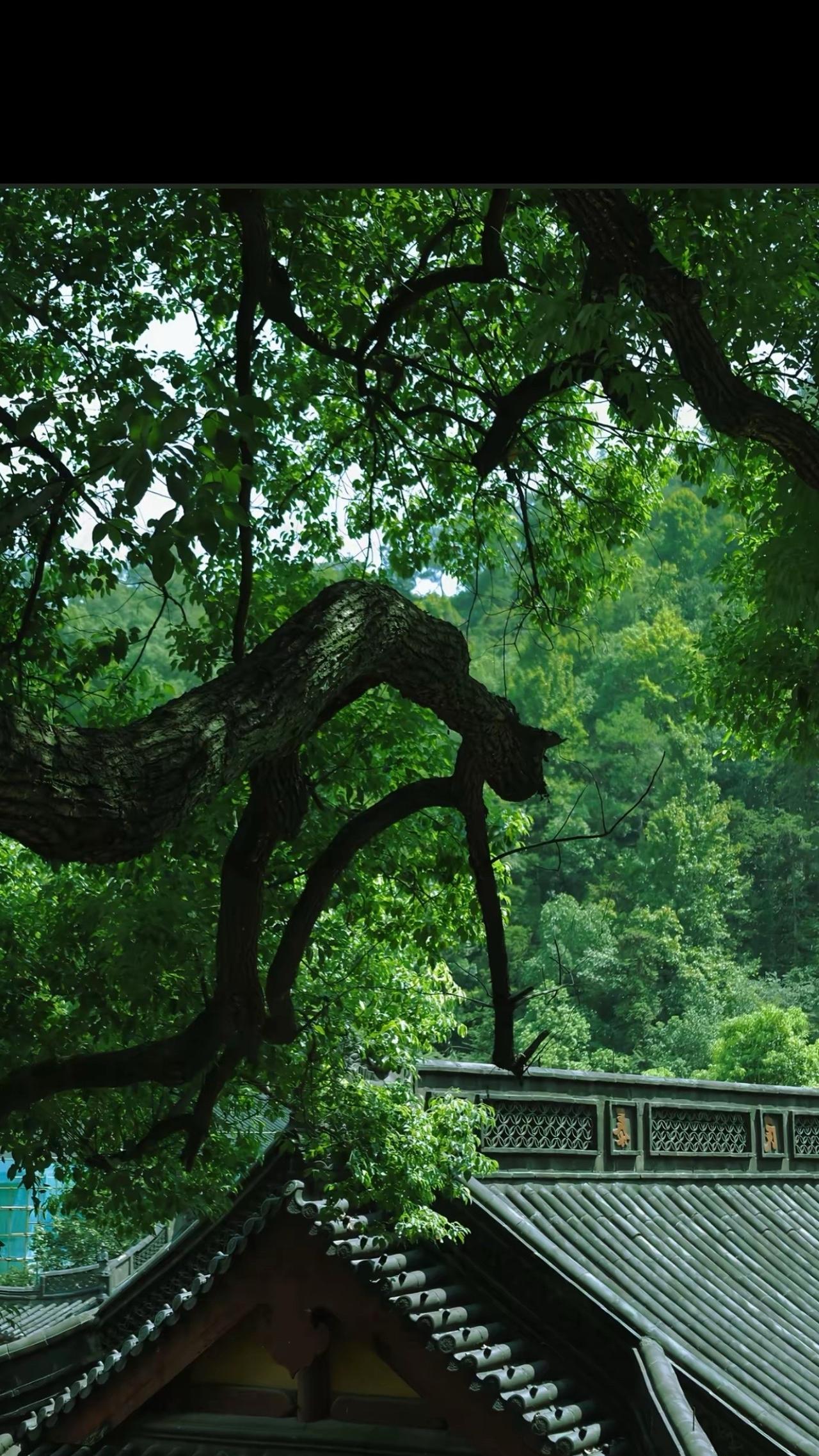一、事出反常必有妖。你记住一句话：所有不合理，都是有陷阱，有句话说：好果不榨汁，
