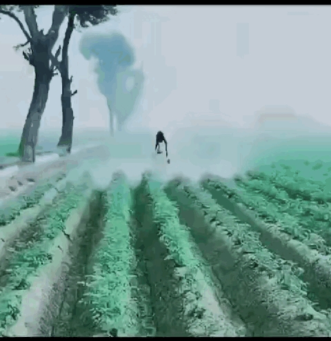 开始看着以为是无人机，走近了看以为是“阿飘”，最后到身旁了原来是“老黑”，竟然还