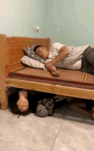 吓一跳之后还有三跳[捂脸哭]