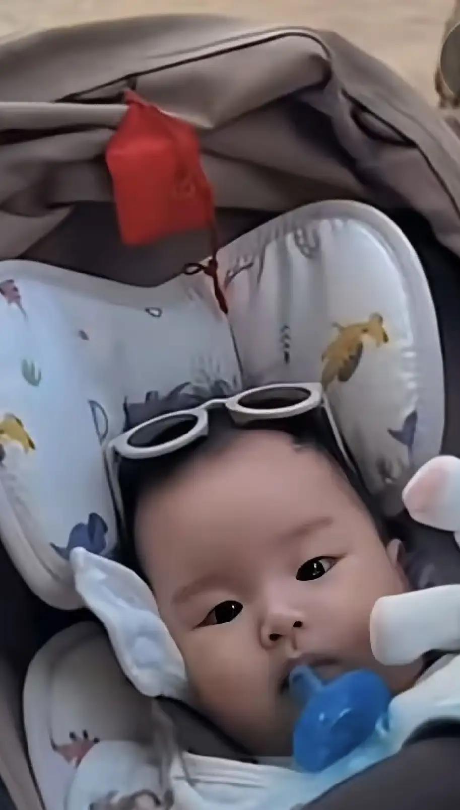 小玥儿回北京了，小箖箖怎么还没回来呢？小箖箖聪慧且情商高，他可喜欢弟弟汪宝儿