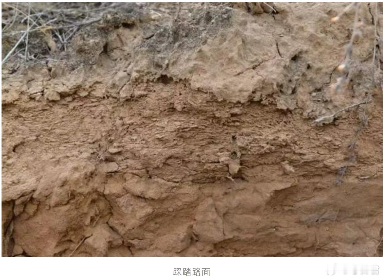 考古新发现秦朝有自己的高速公路在陕西榆林的黄土与沙地间，考古工作者们刚刚找到