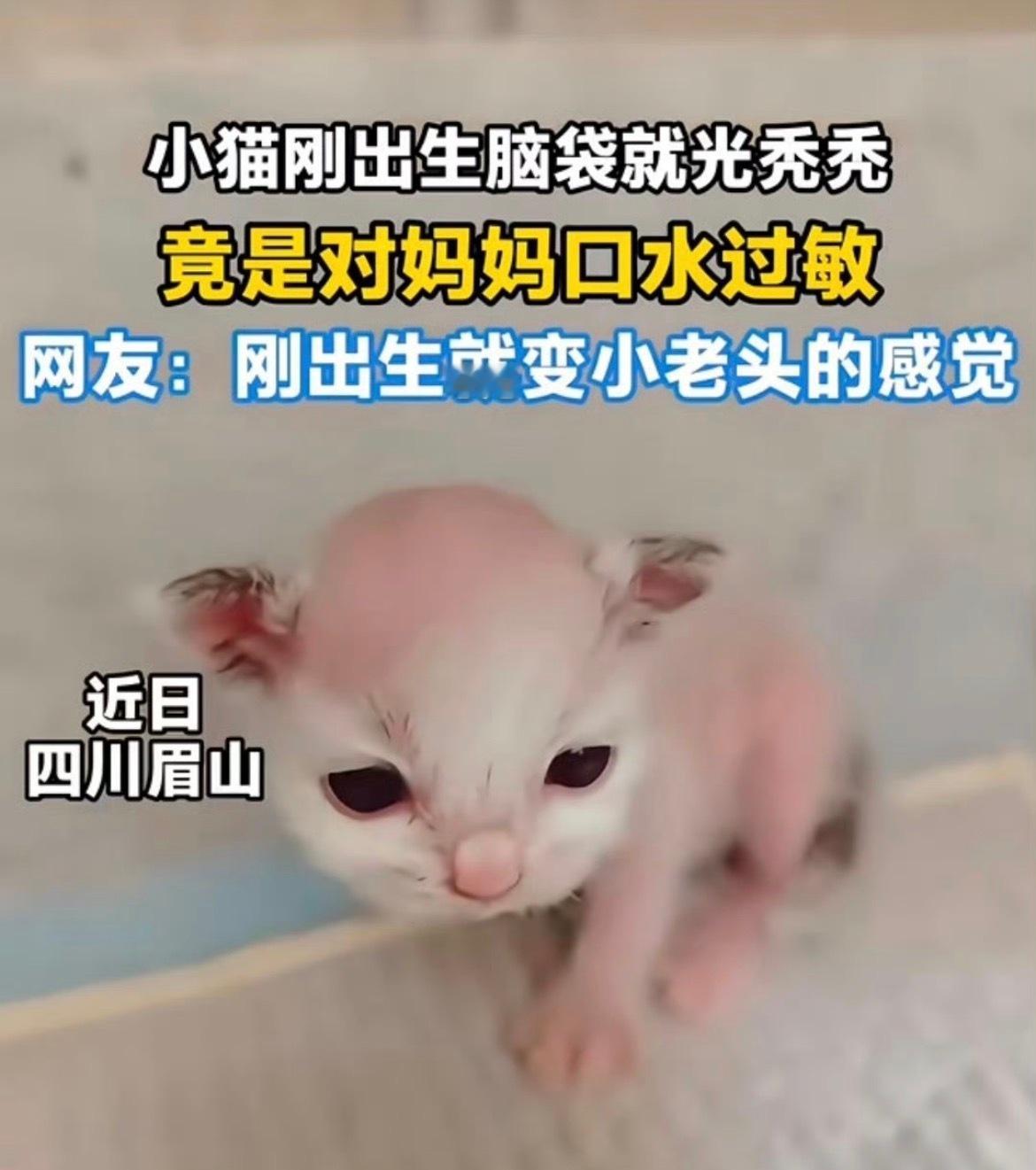 笑死我了​​​