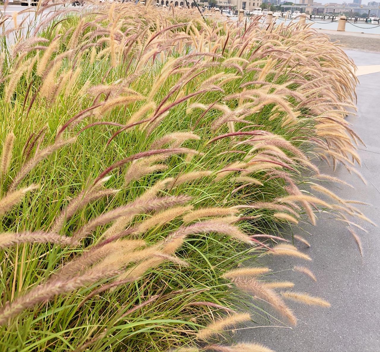 有些男人的如意算盘是这样的，都差不多70岁了，还想找一个40岁的女人做老伴，先说