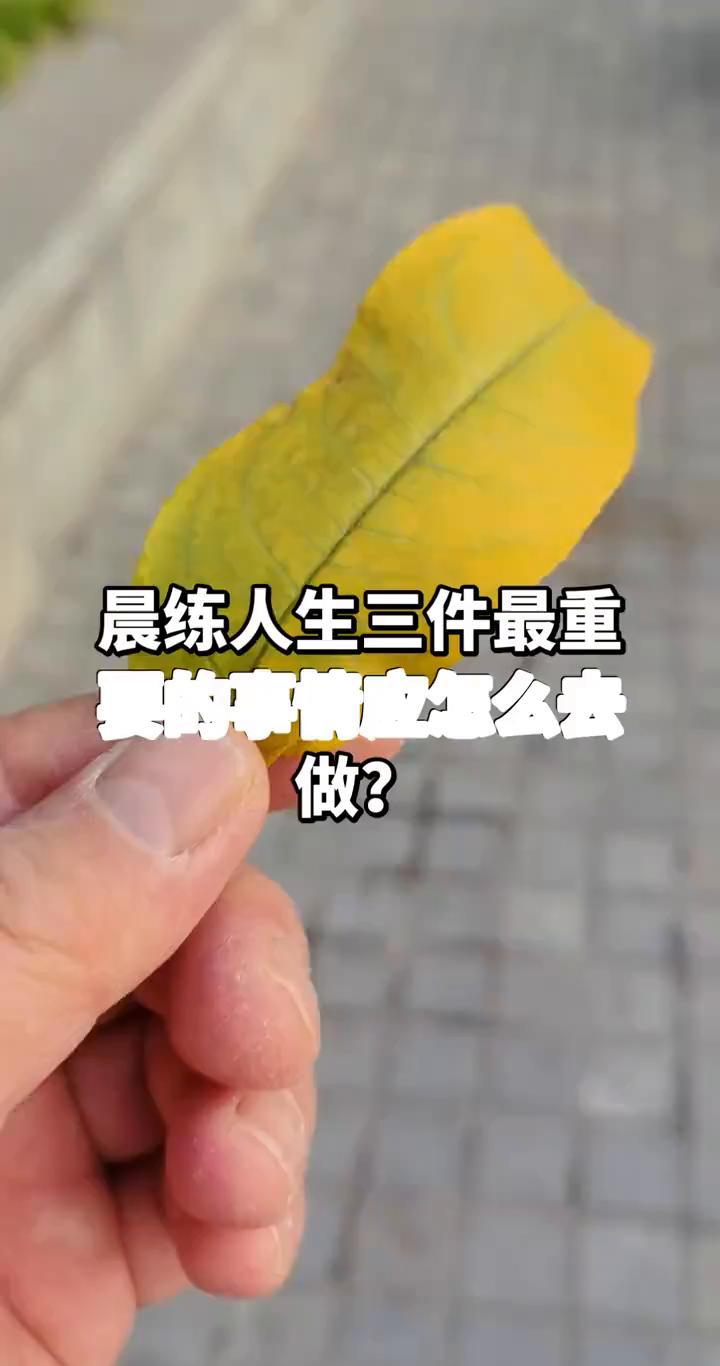晨练不为打卡，为活明白。三十分钟，别躺了，动起来。走路、拉伸、举举哑铃，心肺